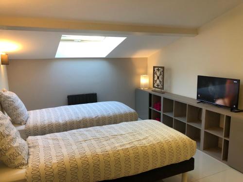1 dormitorio con 2 camas y TV de pantalla plana en Superbe LOFT centre-ville Montluçon en Montluçon