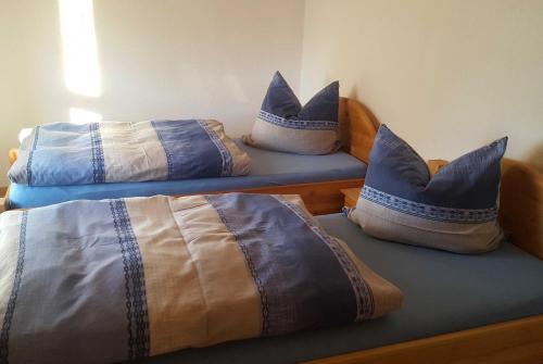 two beds with pillows on them in a room at Ferienwohnung Nichau in Hasselfelde