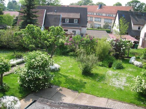 un jardín con flores blancas, árboles y edificios en Ferienwohnung Lippe en Elbingerode