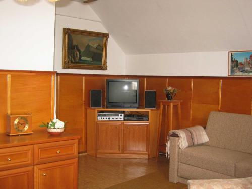 sala de estar con sofá y TV en Ferienwohnung Lippe en Elbingerode