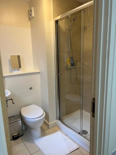 a bathroom with a toilet and a shower at Luxury Town Centre Property with parking in Cheltenham