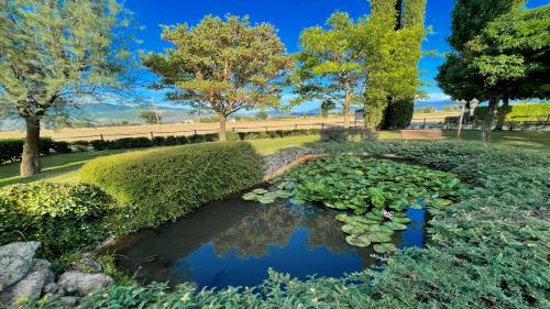 Amazing contemporary Villa with pool - Italian style Spelloissima - Sleeps 11