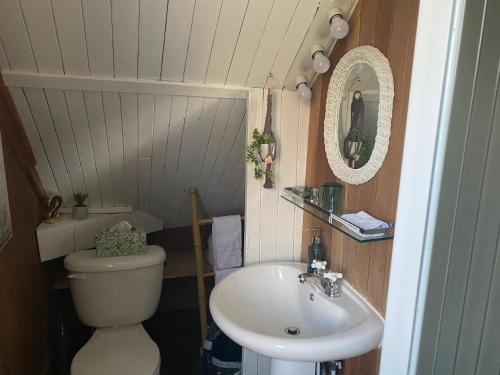 een kleine badkamer met een toilet en een wastafel bij Gite de la Baie Hatée in Bic