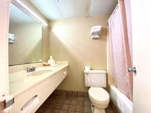 a bathroom with a toilet and a sink and a mirror at Economy inn in Sweetwater