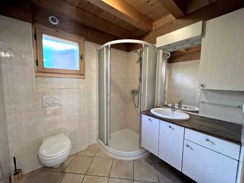 a bathroom with a shower and a toilet and a sink at Aulp de Suz 2 - Chalet avec vue in La Clusaz