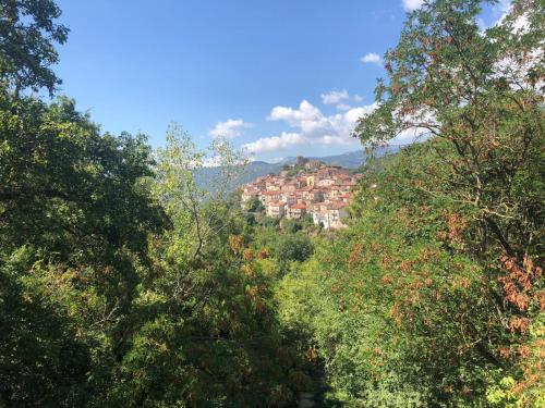 a town in the middle of a forest of trees at O' Stiavucco B&B in Corleto Monforte
