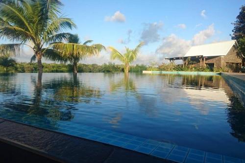 a swimming pool with palm trees and a house at 2-bedroom villa on river mouth in Terre Rouge