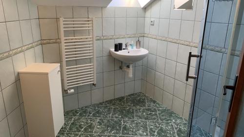 La salle de bains est pourvue d'un lavabo, de toilettes et d'un miroir. dans l'établissement Penzion Ronox, à Česká Skalice