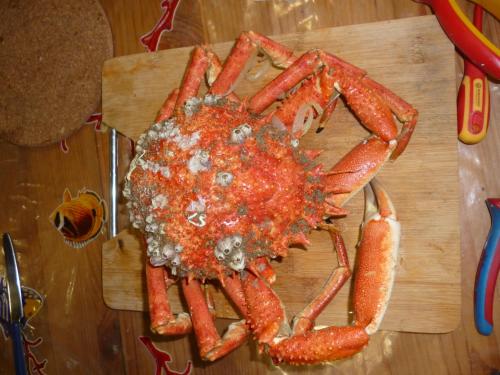 a crab on a cutting board on a table at Flobart grand appartement à Sangatte au rdc et à 30 metres de la plage in Sangatte