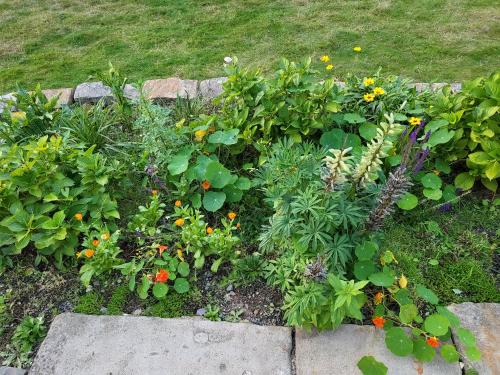 Jardín al aire libre en Souterrainwohnung im Grünen