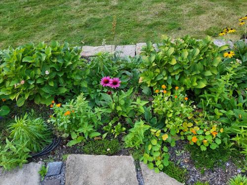 Jardín al aire libre en Souterrainwohnung im Grünen