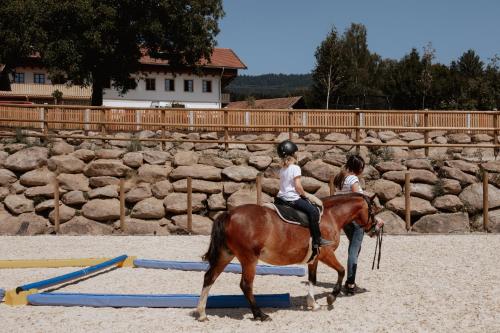 Gallery image of Ferienbauernhof Lieblhof in Bad Koetzting