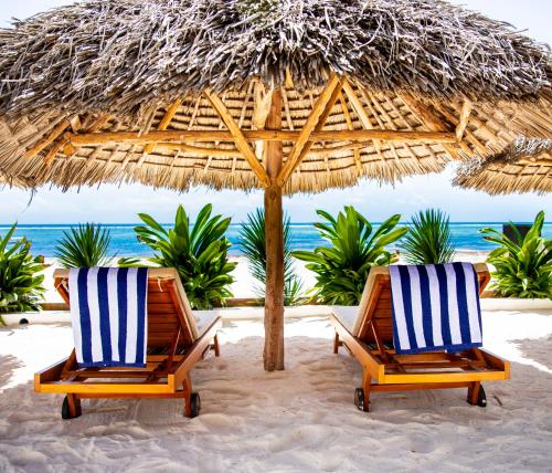- 2 chaises sous un parasol sur la plage dans l'établissement Alladin Boutique Beach Hotel and SPA Zanzibar, à Matemwe