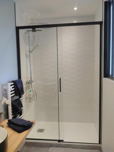 une douche avec une porte vitrée dans une salle de bain dans l'établissement LA SALAMANDRE, à Blois