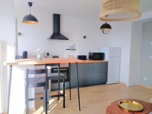 een keuken met een tafel en stoelen in een kamer bij LA SALAMANDRE in Blois