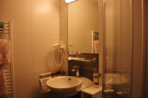 a small bathroom with a sink and a shower at Gasthof-Pension Zum Haugstein - Familie Eder in Engelhartszell