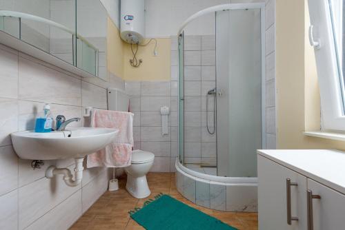 łazienka z umywalką, toaletą i prysznicem w obiekcie APARTMANI ZLATA w mieście Vir