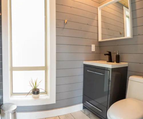 a bathroom with a sink and a toilet at Golden Tiny Homes in Golden