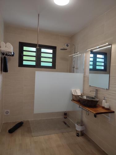 a bathroom with a sink and a mirror at Les Villas KAZEN in La Plaine des Cafres