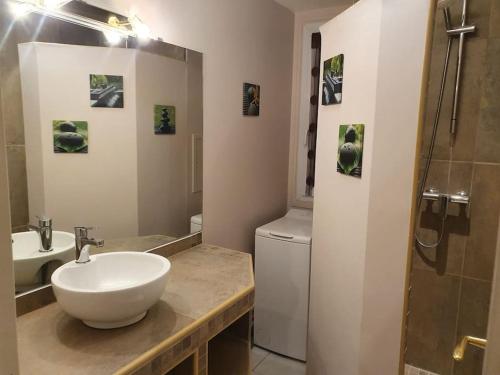 een badkamer met een wastafel, een toilet en een douche bij Ecully, appartement au calme de 50m². in Écully