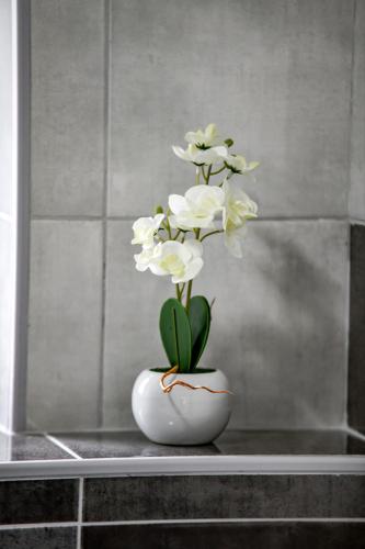 Gallery image of Apartments Joso in Rtina