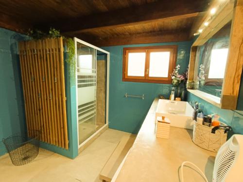 a bathroom with a shower and a sink at L'Hacienda de la plaine in Le Tampon