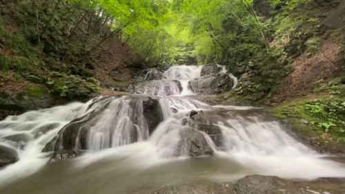 a waterfall in the middle of a forest at Asama Kuzanbo in Naganohara