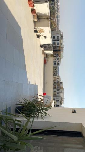 Rooftop sodic eastown