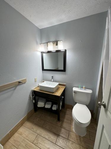 a bathroom with a white toilet and a sink at I65 Studio Suites in Scottsburg