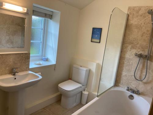 a bathroom with a toilet and a sink and a shower at Pretty Yorkshire Stone Cottage Harome in Harome