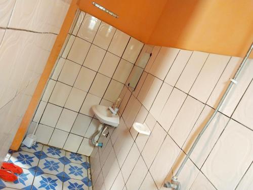 a small bathroom with a shower and a sink at California Lodge in Bagamoyo