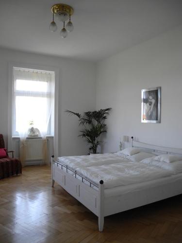 Jugendstil Apartment