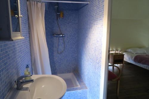 a blue tiled bathroom with a shower and a sink at Colombier du château in Vitry-la-Ville