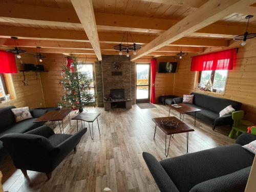 a living room with couches and a christmas tree at Agroturystyka Wudarsówka in Sokolec