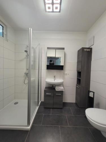 a bathroom with a sink and a shower and a toilet at Ferienwohnung Holzland in Bad Klosterlausnitz