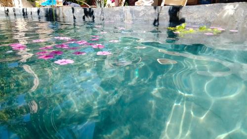 a pool of water with pink flowers in it at Green House in Al Manshīyah