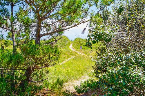 Big Break 982 – Photos 4