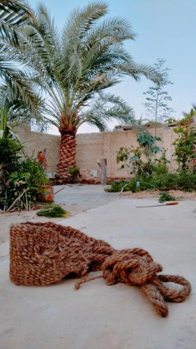 a large animal rug laying on the ground in front of a palm tree at Green House in Al Manshīyah