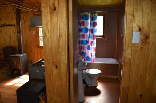 a bathroom with a toilet and a sink and a window at cabañas rio yelcho in Chaitén