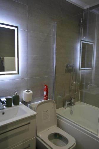 a bathroom with a toilet and a sink and a shower at 8 Jarn Court in Oxford