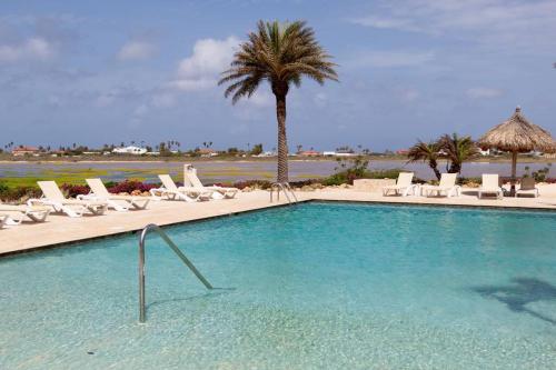 einen Pool mit Liegestühlen und einer Palme in der Unterkunft New! Cozy 1 Bedroom Condo- Gold Coast, Noord ARUBA in Palm-Eagle Beach