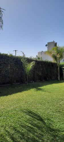 a field of grass with a hedge and palm trees at Umbrella 1 in La Rioja