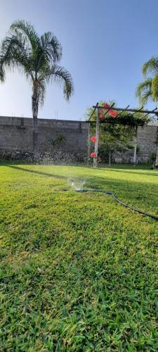 a kite flying in a field with a palm tree at Umbrella 1 in La Rioja
