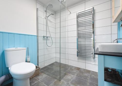 a bathroom with a toilet and a sink and a shower at Gwêl y Môr in Abersoch