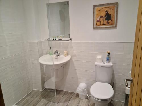 a bathroom with a toilet and a sink at Bumble Barn Bed & Breakfast in North Walsham