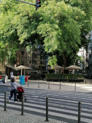 Apartment in Centre of Lisbon near Gulbenkien garden