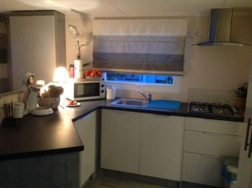 eine Küche mit einer Spüle und einer Mikrowelle in der Unterkunft Luxus Chalet im schönen Recratiepark De Veerstal in Rheden