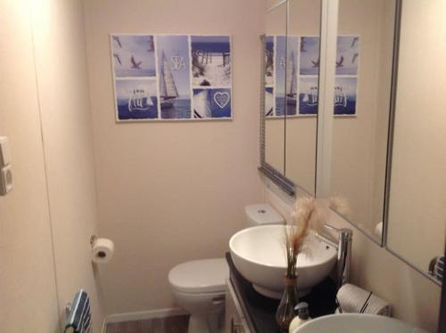 a bathroom with a sink and a toilet and a mirror at Luxus Chalet im schönen Recratiepark De Veerstal in Rheden