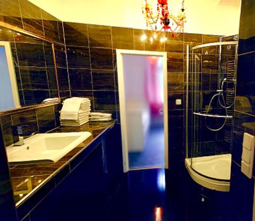 a bathroom with a sink and a shower and a mirror at Suite Apartment Jedlesee in Vienna