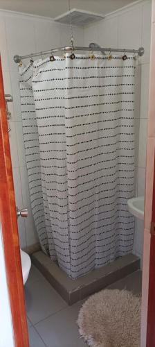 a bathroom with a toilet and a shower curtain at Las Cabañas del Francés in Vallenar